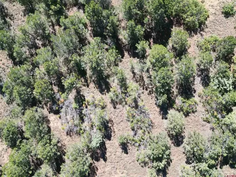 16 Cottontail Lane, Ridgway, CO 81432