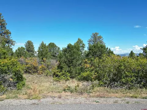17 Cottontail Lane, Ridgway, CO 81432