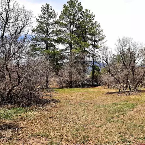 1117 Ute Dr, Pagosa Springs, CO 81147