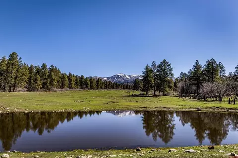 2132 Needles View Pl, Pagosa Springs, CO 81147