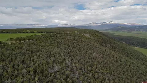 tbd P50 Rd, Hotchkiss, CO 81419