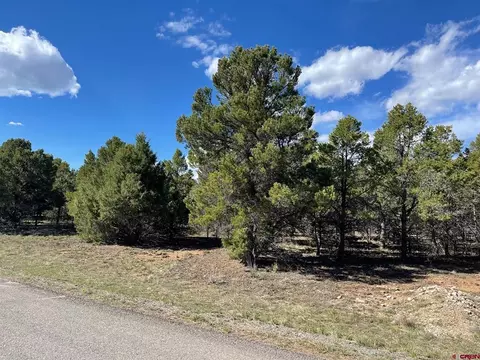 400 Oak Rd, Ridgway, CO 81432
