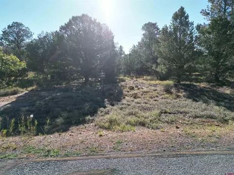 556 North Badger Trail, Ridgway, CO 81432