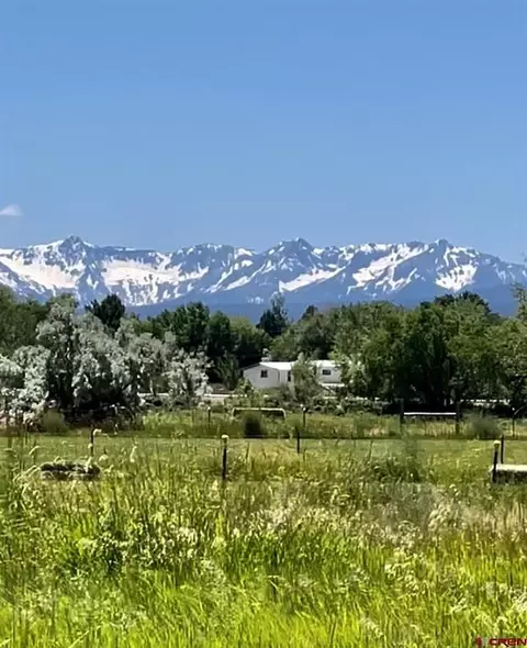 Lot 1 Klein Min Draft Horse, Montrose, CO 81401