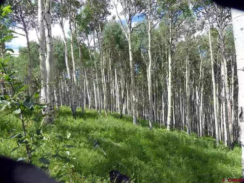 563 Crest Dr, Cimarron, CO 81220