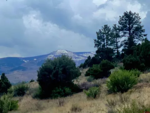 1045 Bear Creek Cir, South Fork, CO 81154