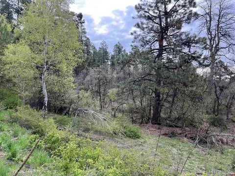 166 Jackalope Dr, Bayfield, CO 81122