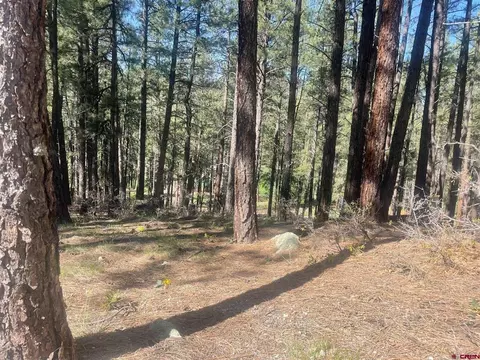 Tbd Pine Top Drive, Bayfield, CO 81122