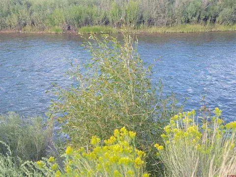 Lot 2 Big River Way, South Fork, CO 81154