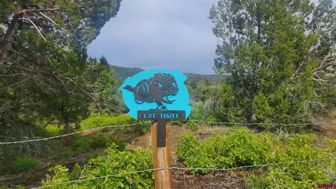 88 Turkey Trot Lane Lot #3, Durango, CO 81301