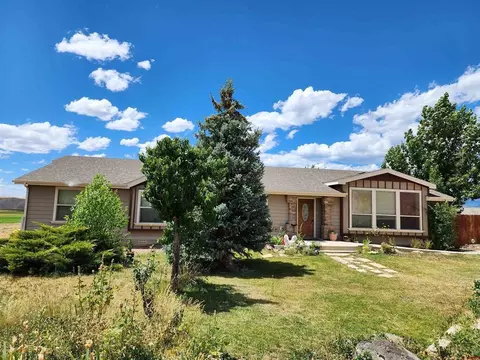 9295 1980 Ln, Austin, CO 81410