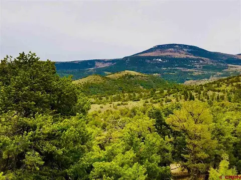 Parcel 9 Pinon Hills Road, South Fork, CO 81154