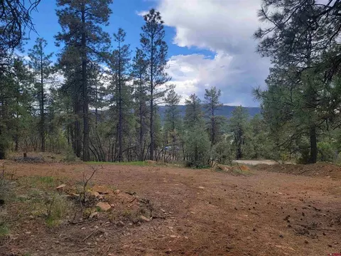 877 W View Rd, Pagosa Springs, CO 81147