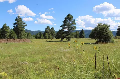 94 Convention Pl, Pagosa Springs, CO 81147