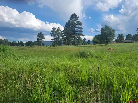 168 Sandlewood Dr, Pagosa Springs, CO 81147
