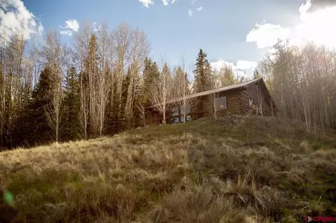 31940 Stagecoach Trl, Creede, CO 81235