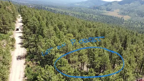 62 Pine Crest 451 Pine Ridge Dr, Bayfield, CO 81122