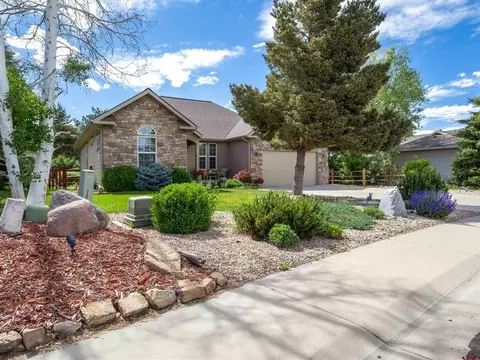 3704 Buffalo Ln, Montrose, CO 81403