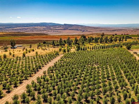12148 Burritt Rd, Hotchkiss, CO 81419