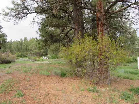 114 Weasel Dr, Pagosa Springs, CO 81147