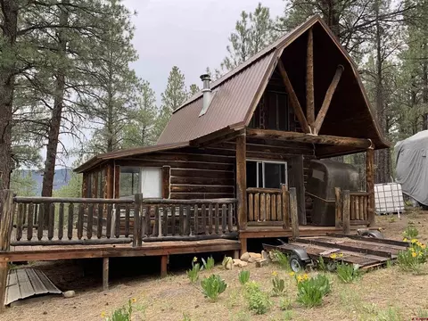 154 186 Deans Pl, Pagosa Springs, CO 81147