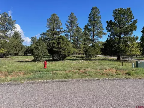 320 Bear Cub Drive, Ridgway, CO 81432