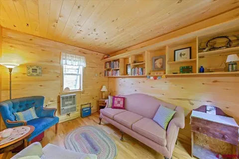 750 Charles St, Ridgway, CO 81432