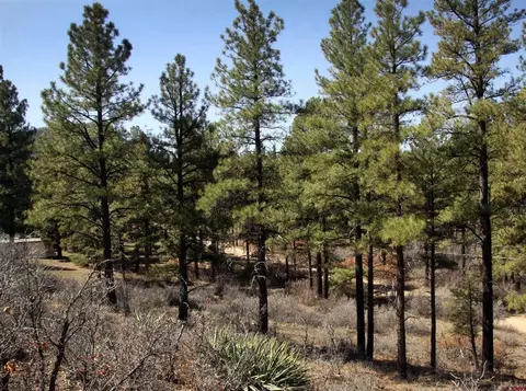520 Evergreen Dr, Pagosa Springs, CO 81147