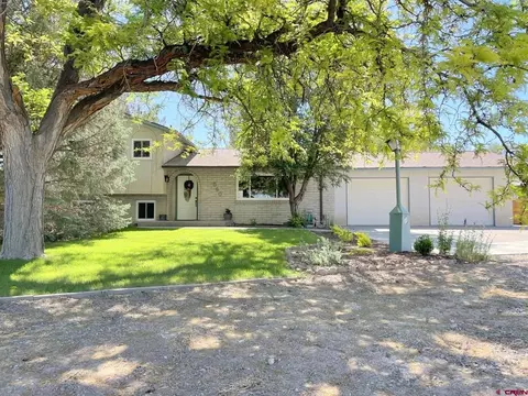 540 Willow Wood Ln, Delta, CO 81416