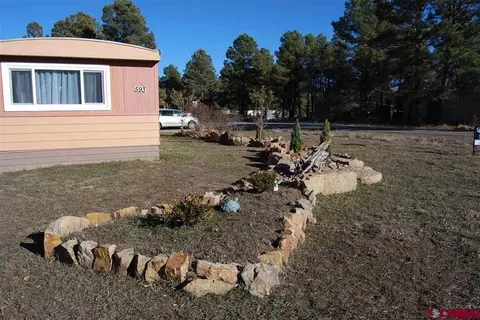 593 Lake St, Pagosa Springs, CO 81147