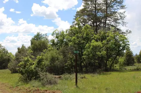 13 Butzke Ct, Pagosa Springs, CO 81147