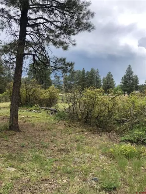 201 Rainbow Dr, Pagosa Springs, CO 81147