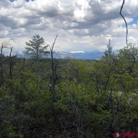 17 Fox Pl, Pagosa Springs, CO 81147
