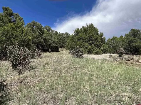 Lot 10 Ponderosa Hills, Trinidad, CO 81082