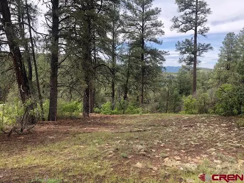 Lot 59 County Road 335, Pagosa Springs, CO 81147