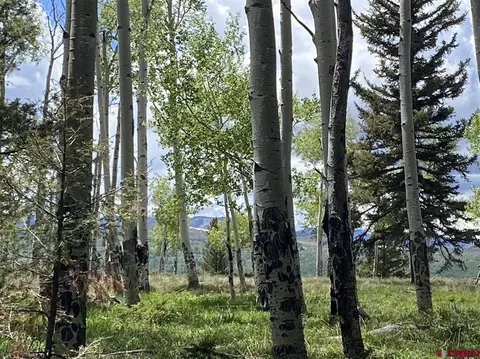 800 Crest Dr, Cimarron, CO 81220