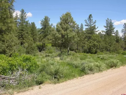 1859 County Road 917, Pagosa Springs, CO 81147