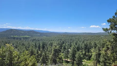 199 Bobcat Ln, Bayfield, CO 81122