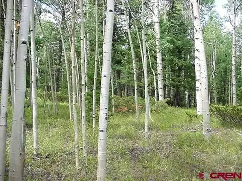 513 Crest Dr, Cimarron, CO 81220
