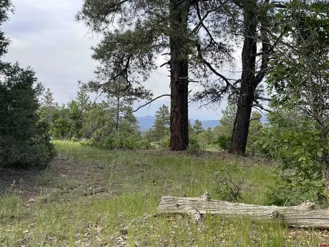 2721 S Pagosa Blvd, Pagosa Springs, CO 81147