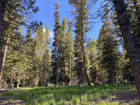 610 Snowshoe Ln, Cimarron, CO 81220