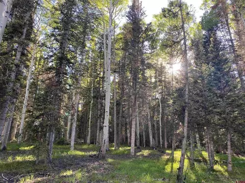 700 Hazel Lake Dr, Cimarron, CO 81220