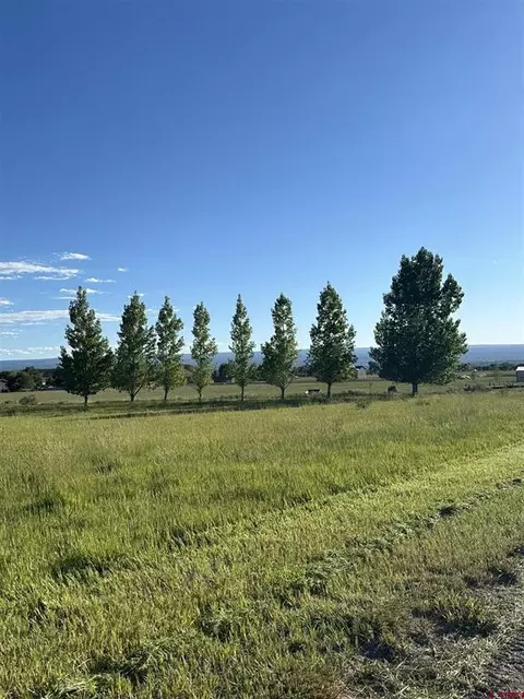 Lot 1 6900 Road, Montrose, CO 81403