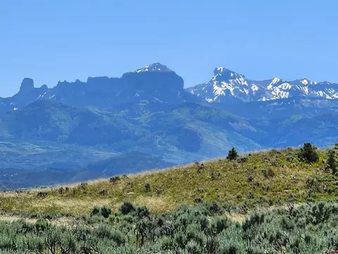 74 Dallas Ct, Ridgway, CO 81432