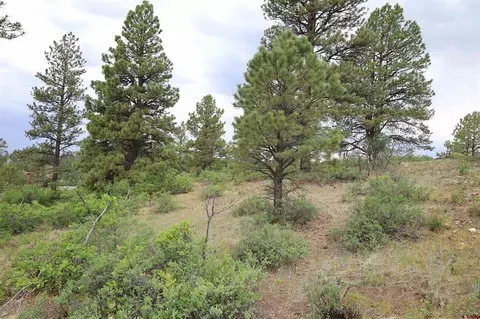 420 Santino Pl, Pagosa Springs, CO 81147