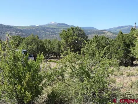 391 Cameron Pass Rd, South Fork, CO 81154
