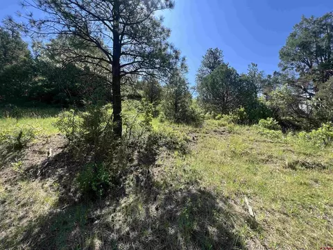 115 Olympic Ct, Pagosa Springs, CO 81147