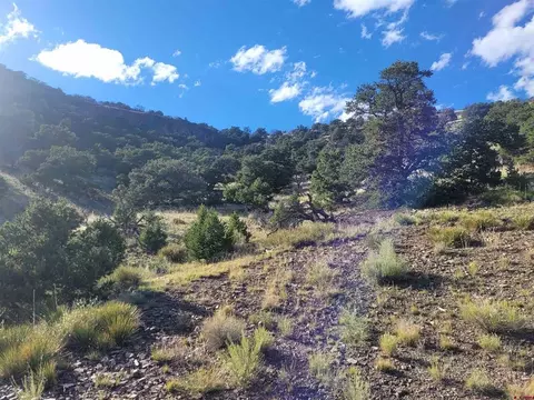 Parcel 1 County Road T, Saguache, CO 81149