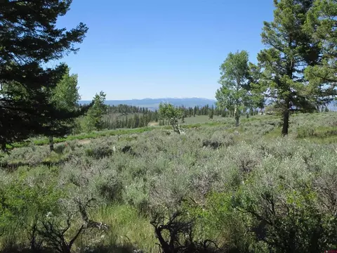 562 Castle Cir, Powderhorn, CO 81243