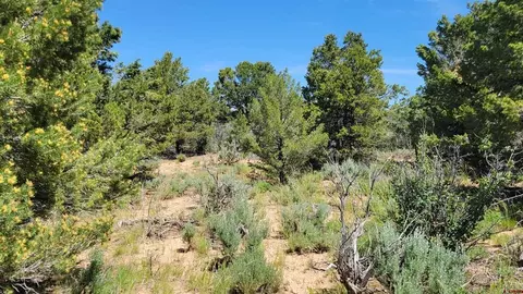 Tbd Road W, Dolores, CO 81323